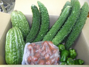 お野菜